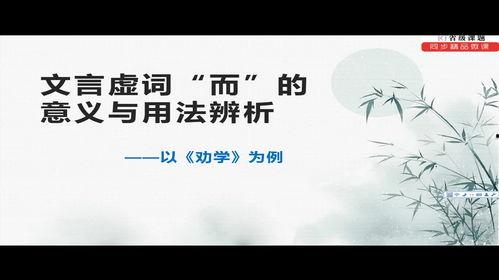 文言文讲解视频,文言文讲解视频精华概述