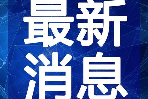 视频新闻网,洞察时代脉搏，捕捉热点瞬间