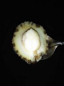 杀鲍鱼简单方法视频,简单方法视频大揭秘