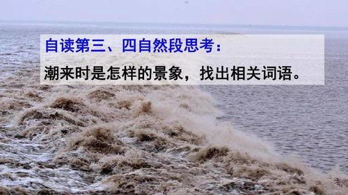 观潮朗读视频,感受钱塘江大潮的壮丽与震撼