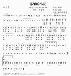 花非花歌曲原唱视频,原唱视频中的经典旋律与情感演绎