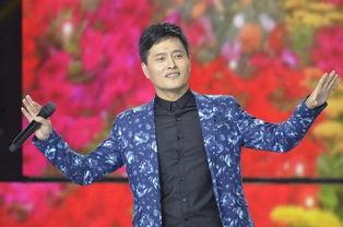 云飞歌曲视频播放大全,重温岁月旋律，共赴音乐之旅
