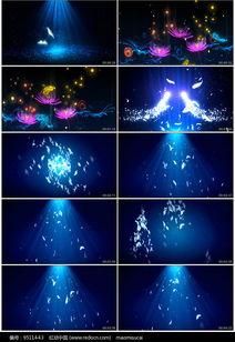 飞扬视频,捕捉瞬间,展现无限可能