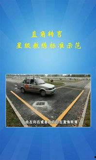 驾校科目二视频,轻松掌握考试技巧